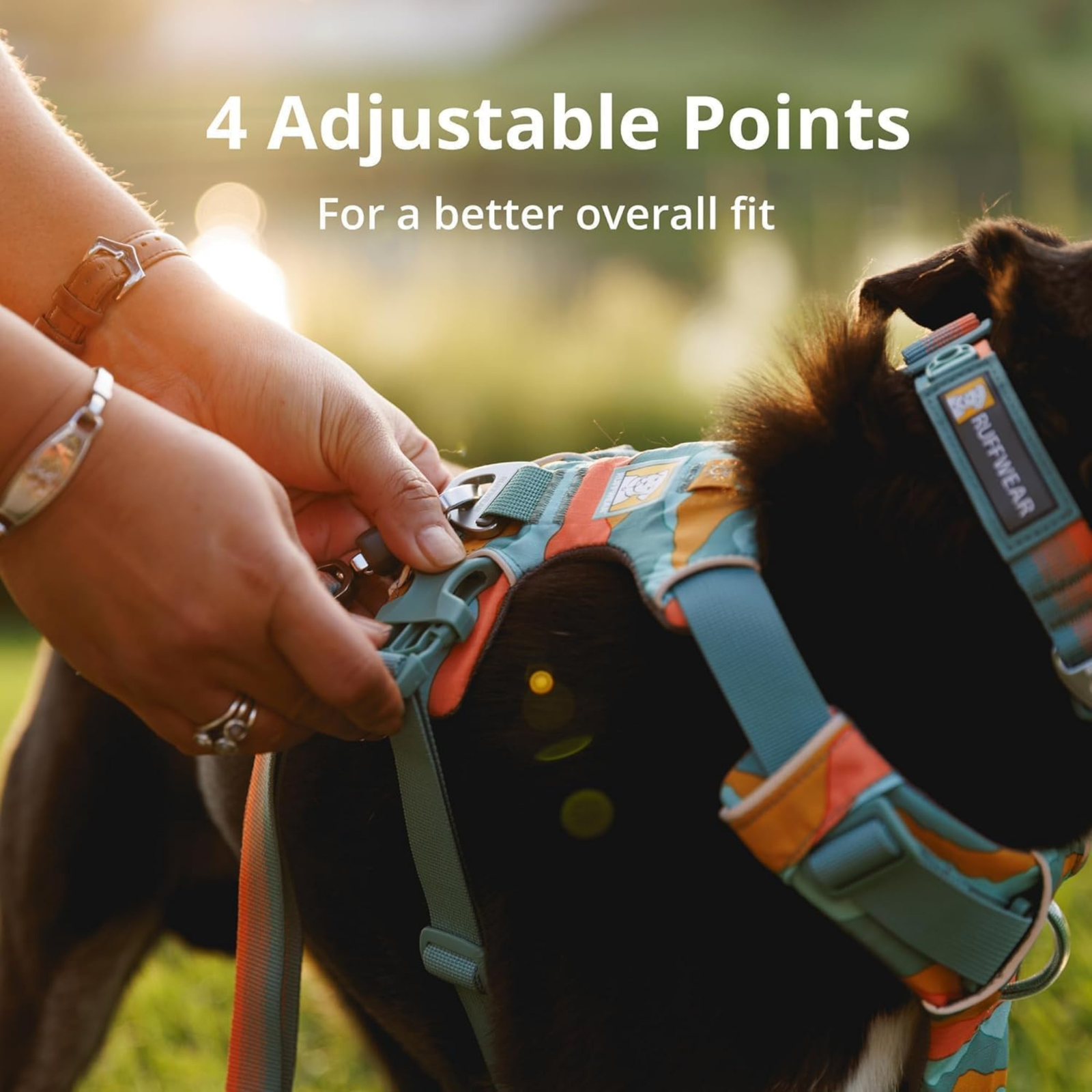 Ruffwear Front Range Harness for Dogs - Aurora Teal