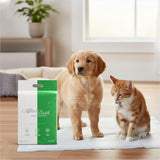 Afterbath Superdry Training Pads- Pee Pad for Dogs with 1800ml Absorption, Training Pads for Puppies (60cm X 90cm X 1cm)- 50 Pk- image 2 - Rufftail Pune
