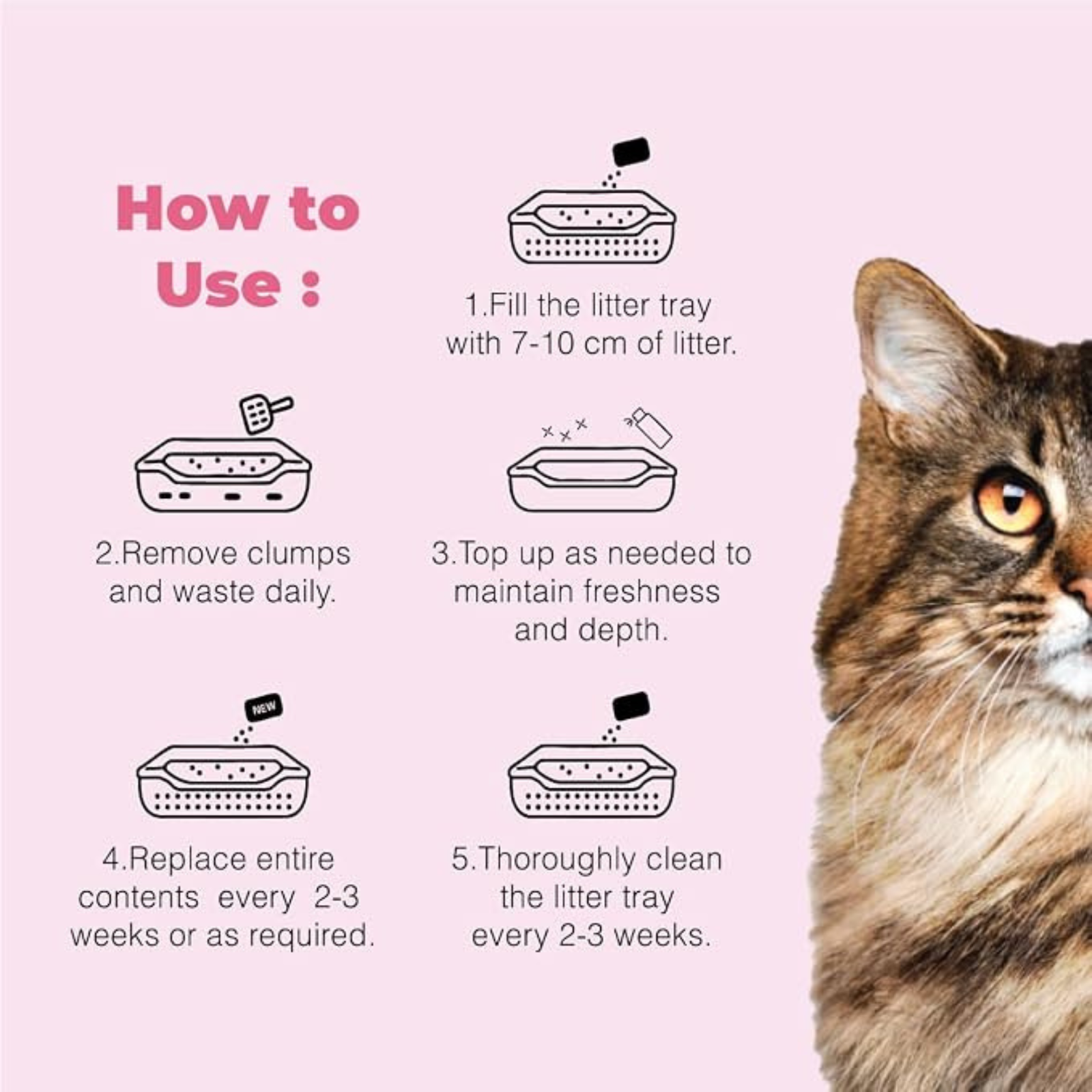 Cat Exclusive Baby Powder Fragrance Scoopable Cat Litter 10 kg