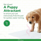 Afterbath Superdry Training Pads- Pee Pad for Dogs with 1800ml Absorption, Training Pads for Puppies (60cm X 90cm X 1cm)- 50 Pk- image 5 - Rufftail Pune