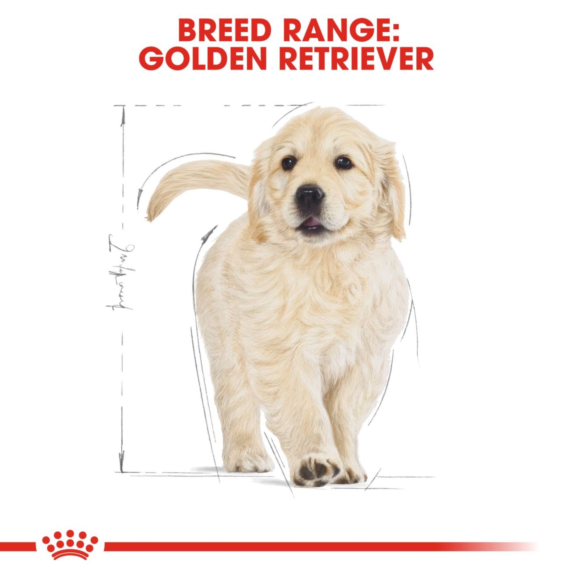 Royal Canin Dry Golden Retriever Puppy Complete feed for dogs - Rufftail