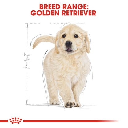 Royal Canin Dry Golden Retriever Puppy Complete feed for dogs - Rufftail