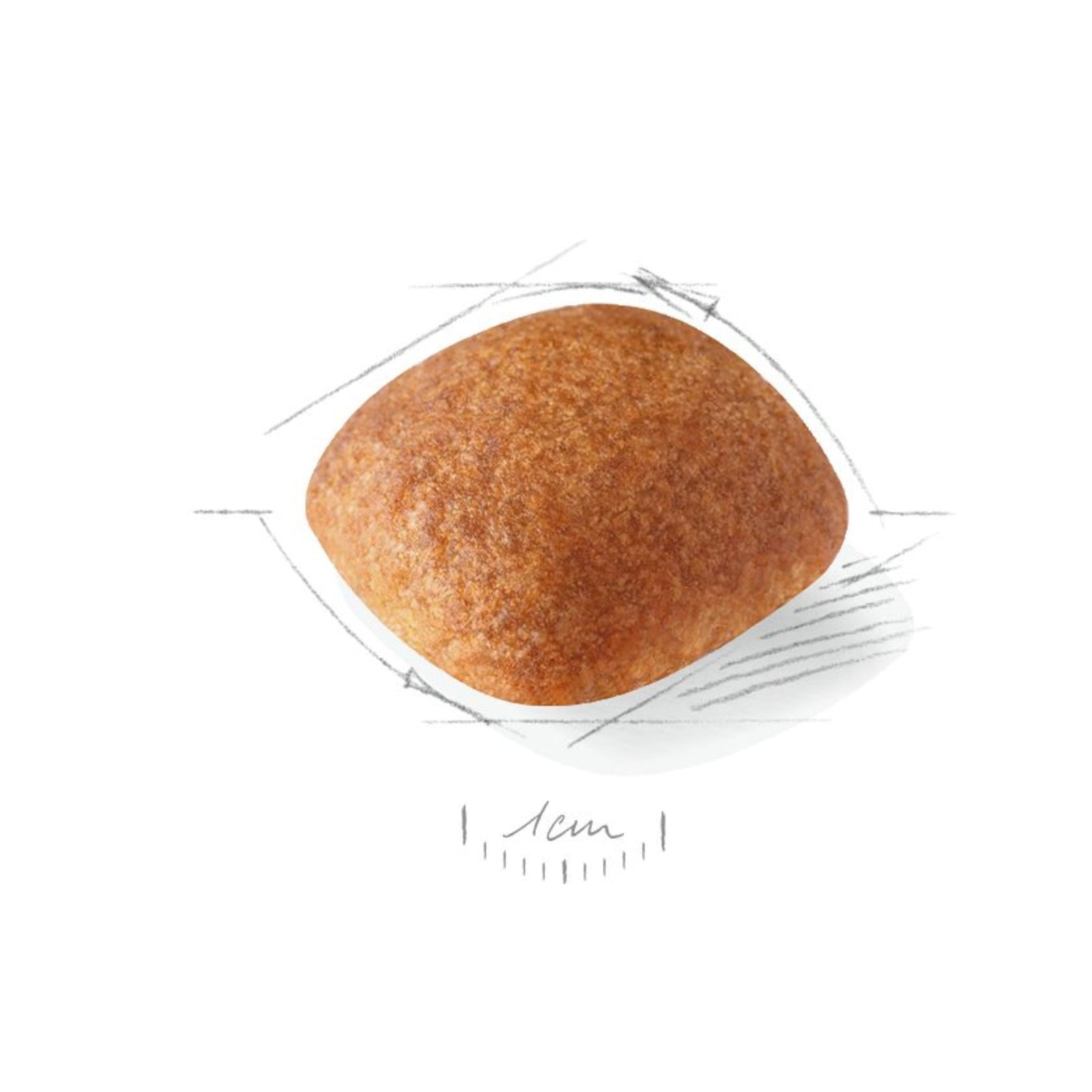 Royal Canin Golden Retriever Adult Dry Dog Food product image 9 - Rufftail Pune