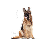 Royal Canin Dry Maxi Adult 5+ Complete feed for dogs - Rufftail
