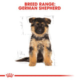 Royal Canin German Shepherd Puppy Dry Dog Food product image 8 - Rufftail Pune