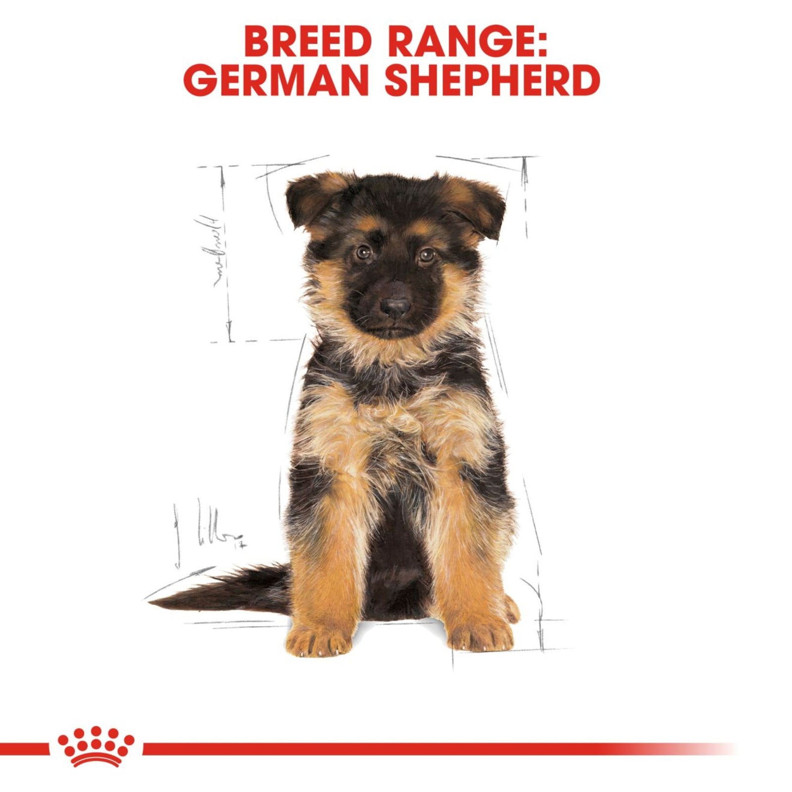 Royal Canin German Shepherd Puppy Dry Dog Food product image 8 - Rufftail Pune