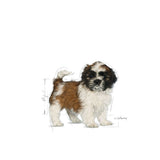 Royal Canin Dry Shih Tzu Puppy Complete feed for dogs - Rufftail