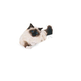 Royal Canin Hairball Care Dry Cat Food product image 9 - Rufftail Pune