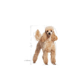 Royal Canin Poodle Adult Dry Dog Food product image 5 - Rufftail Pune