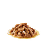 Royal Canin Wet Mini Puppy Dog Complete feed for Dogs - Rufftail