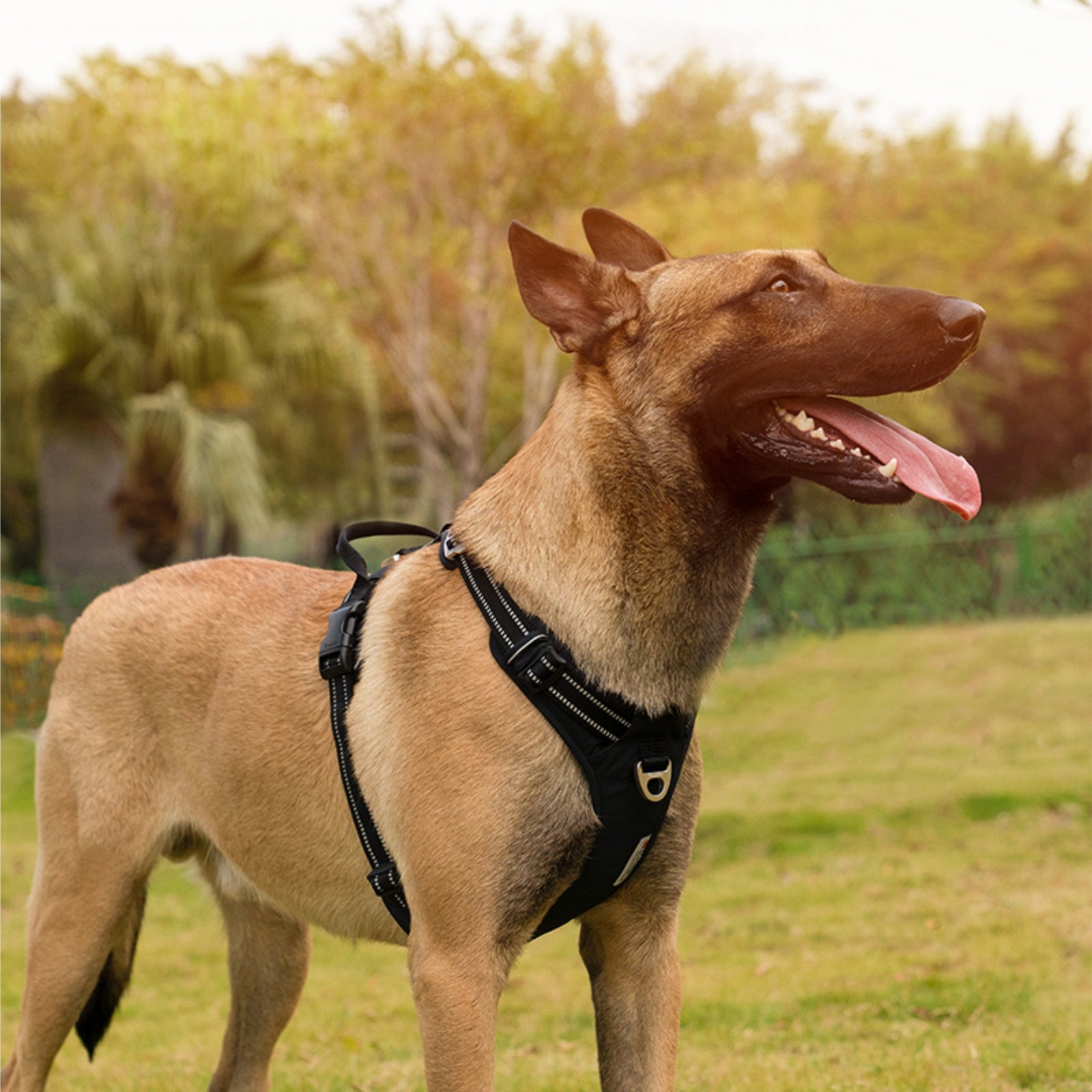 Truelove No-Pull Cordura Dog Harness product image 9 - Rufftail Pune