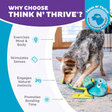 Outward Hound Silly Legz Interactive Plush Dog Puzzle - Blue Octopus