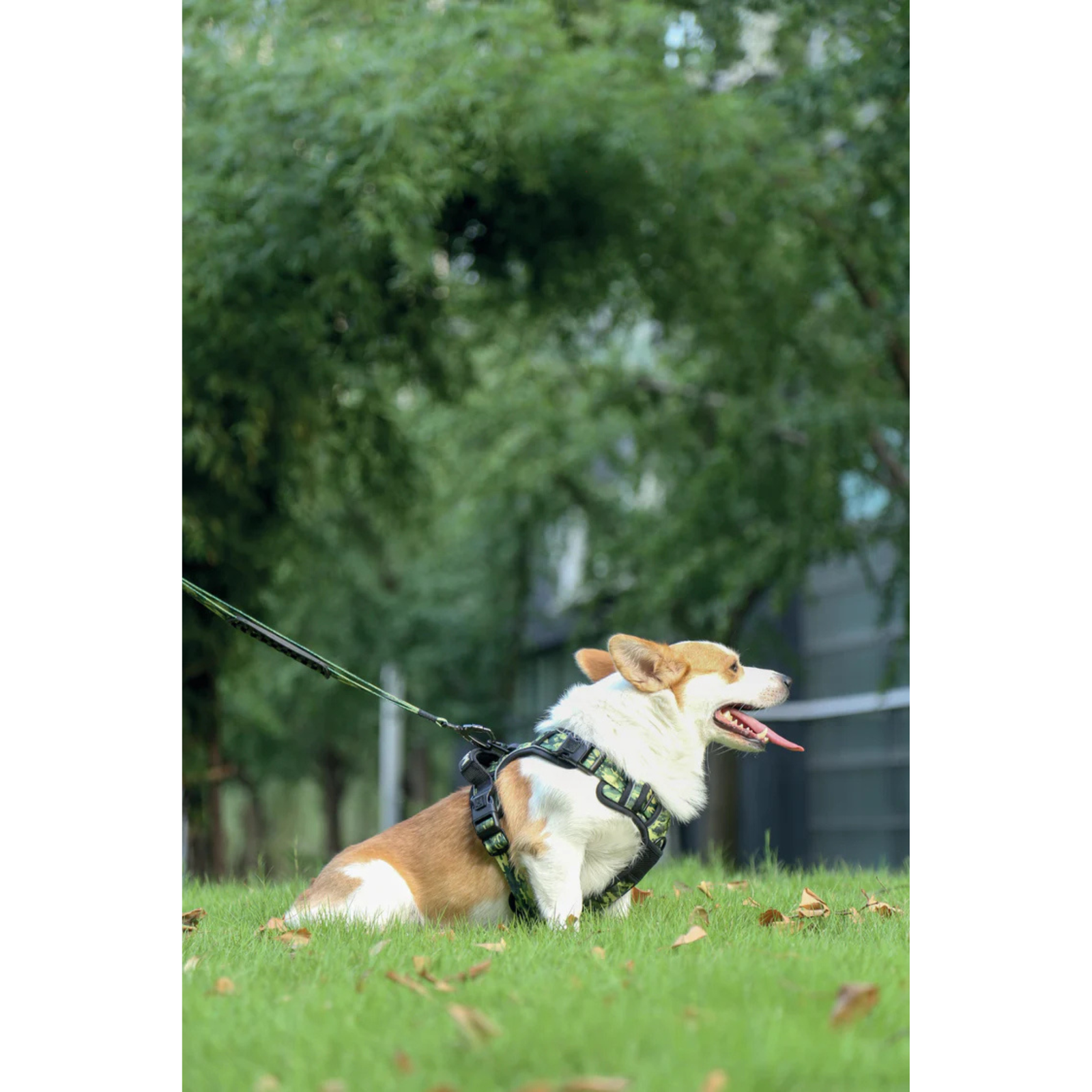 M-Pets HIKING Harness Camouflage for Dogs product image 9 - Rufftail Pune
