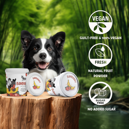 Waggy Zone Natural Dogs Ice Cream - Banberry (Pack of 3) - Rufftail