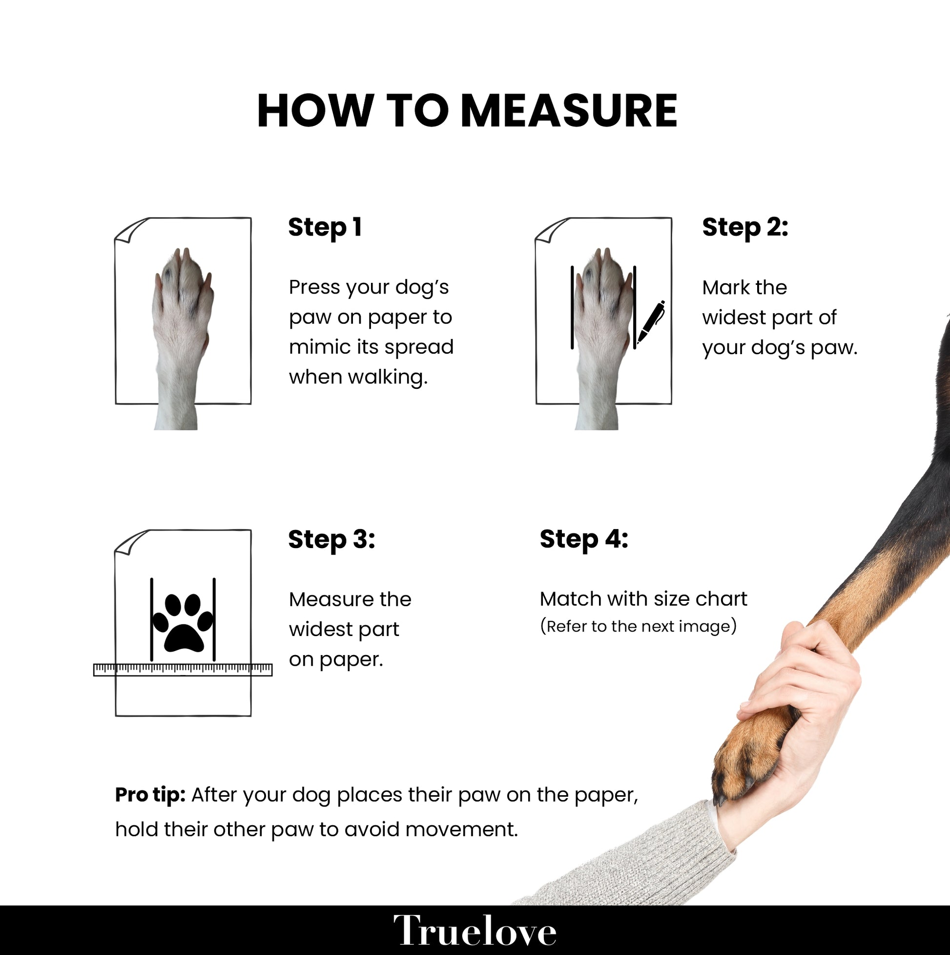 Truelove All Weather Dog Shoes - Black (Set Of 4) - Rufftail