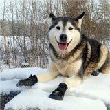 Truelove All Weather Dog Shoes- Black product image 6 - Rufftail Pune