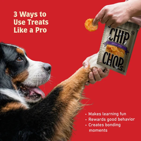 Chip Chops Chicken Chips Coins Treats - 70g
