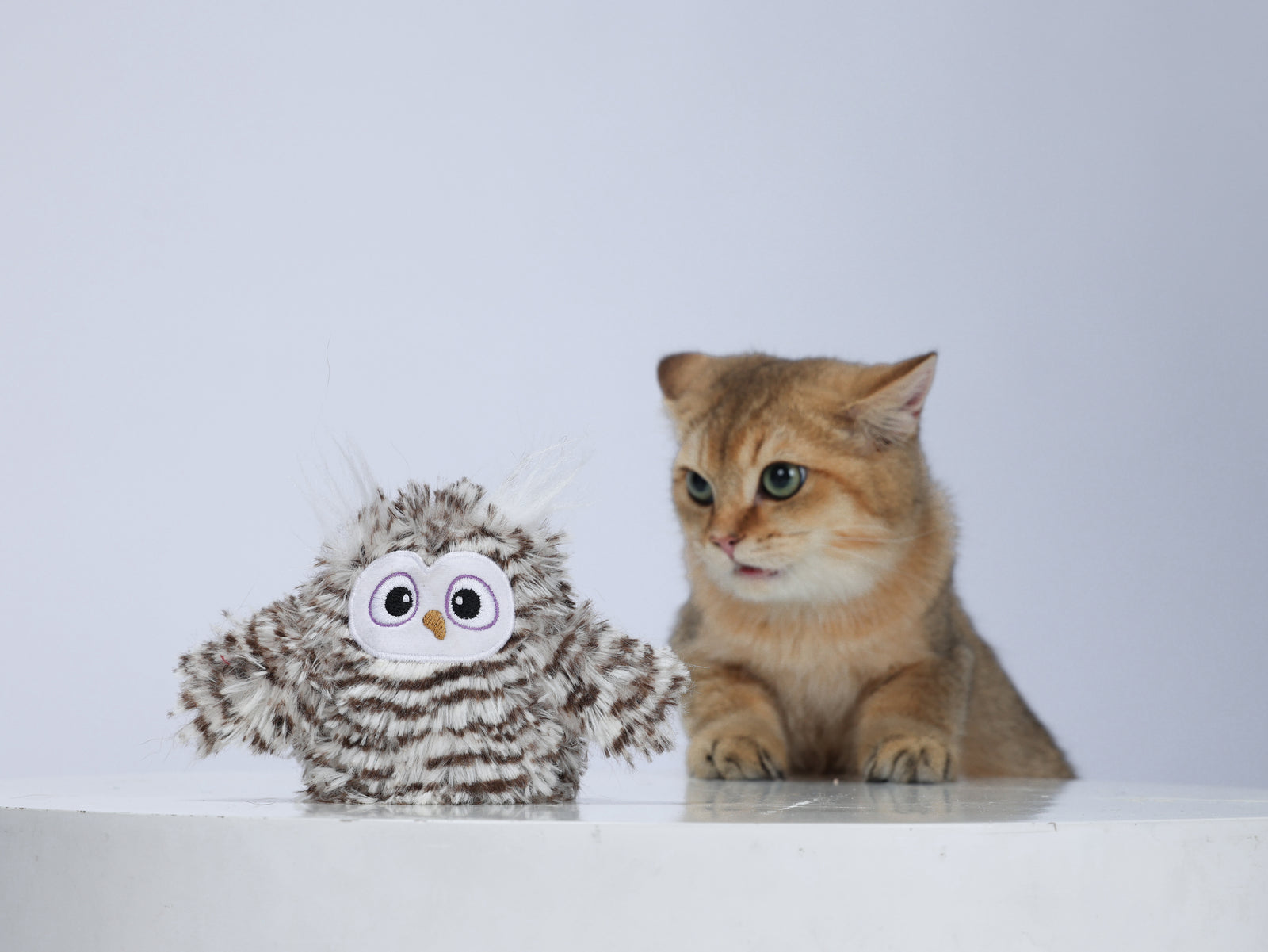 BarkButler x Fofos Flapping Owl Interactive Cat Toy- Grey Owl product image 2 - Rufftail Pune