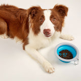 FOFOS Collapsible Bowls- Travel Serving Bowls & Water Dish for Pets product image 6 - Rufftail Pune