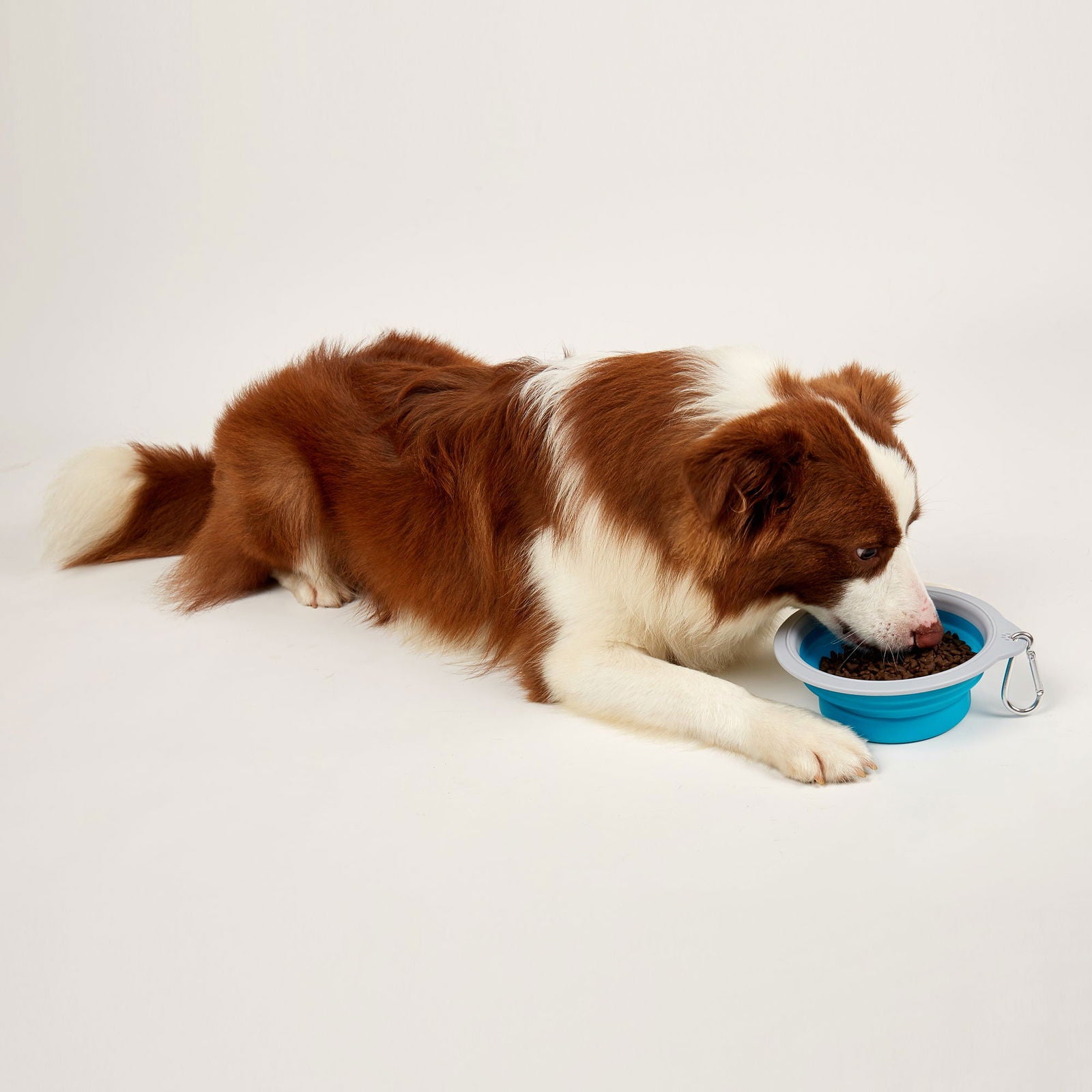 FOFOS Collapsible Bowls- Travel Serving Bowls & Water Dish for Pets product image 7 - Rufftail Pune