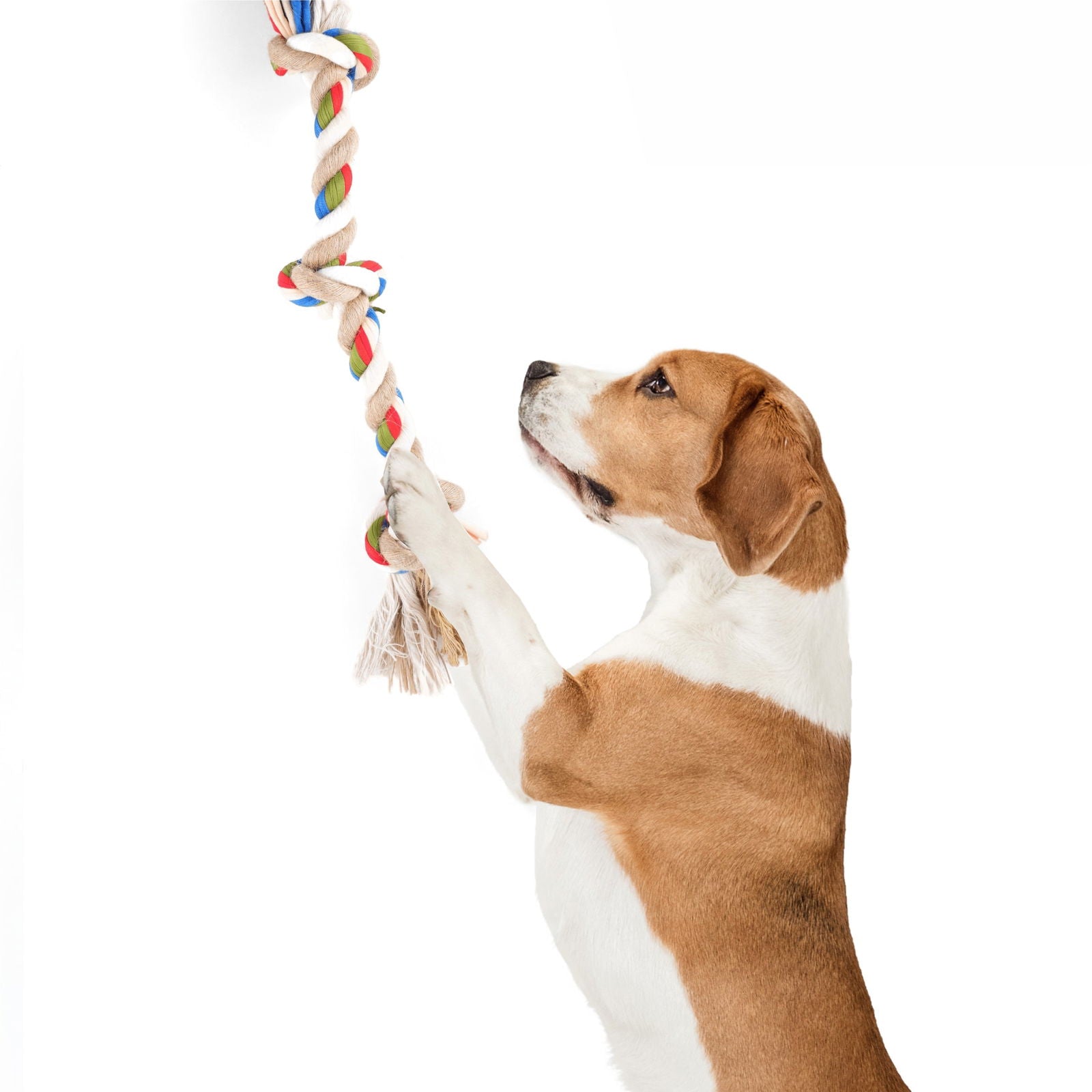 BarkButler x Fofos Flossy 3 Knots Rope Dog Toy - For Small-Medium - Rufftail