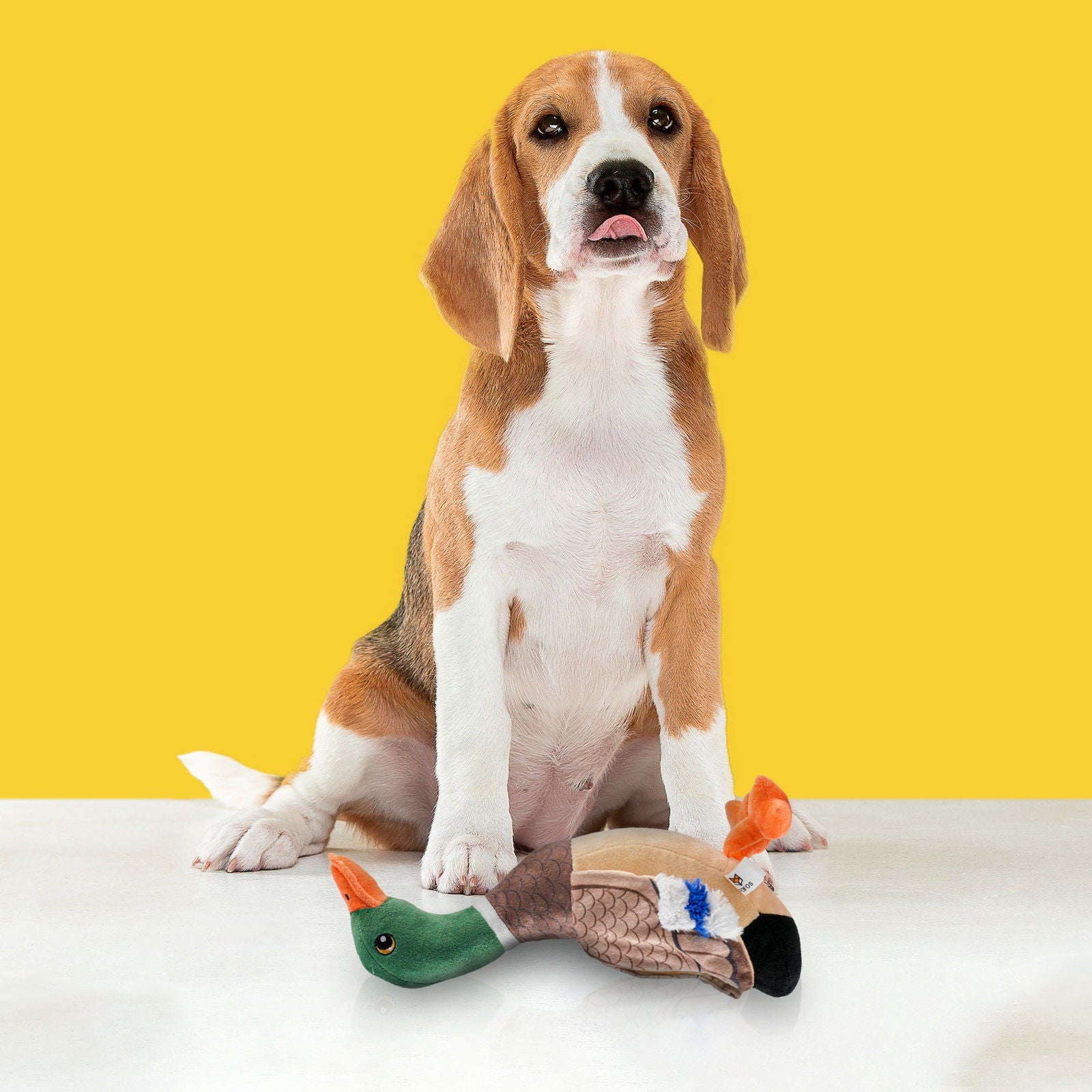 BarkButler x Fofos Wild Duck Soft Squeaky Plush Dog Toy, Brown - Rufftail