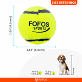 BarkButler x FOFOS Sports Fetch Ball 4pk Dog Toy Set - Rufftail