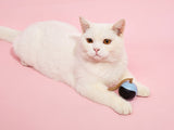 BarkButler x Fofos Whirli Cat Interactive Cat Toys - AI Activated, USB Rechargeable - Rufftail