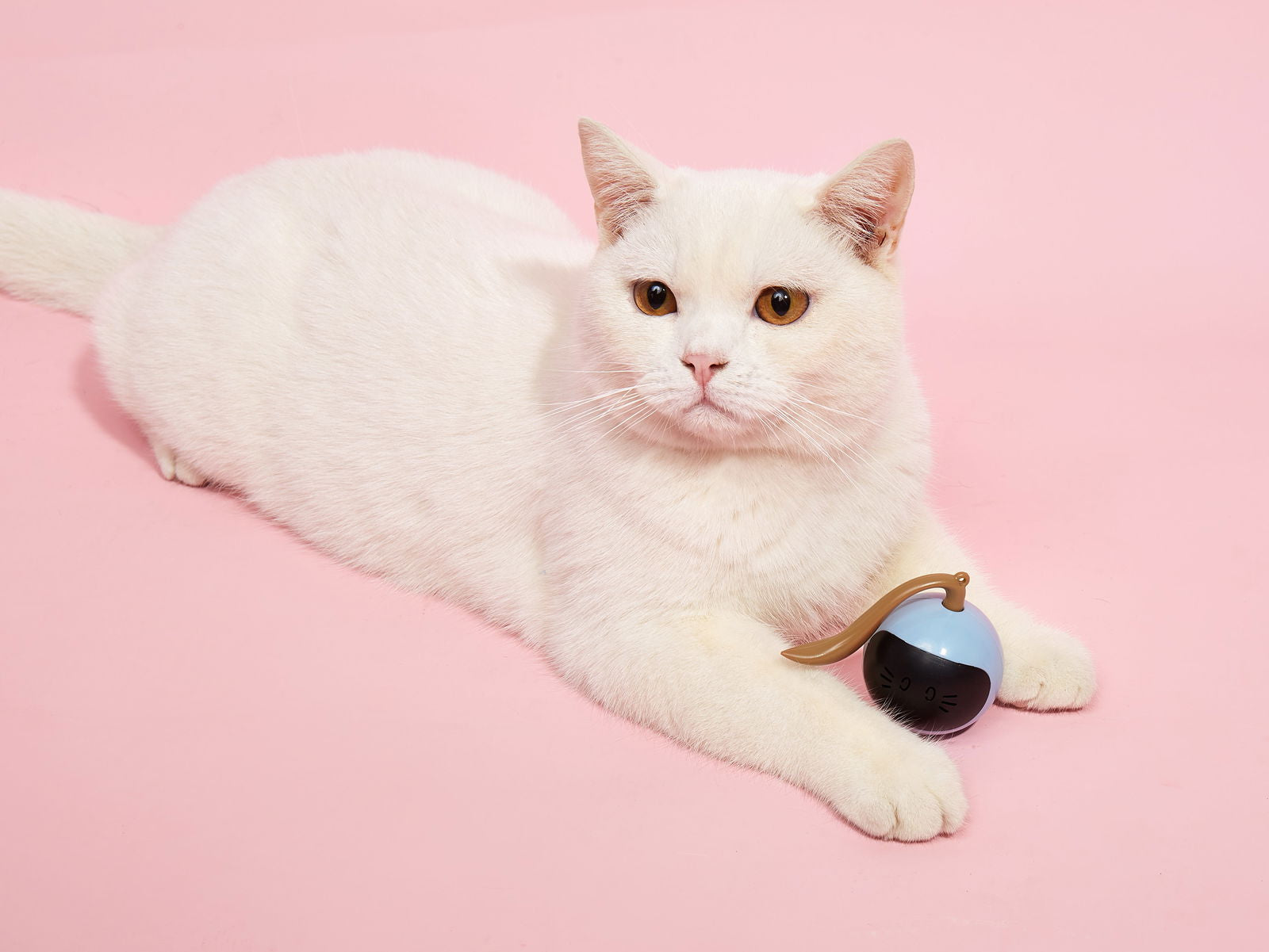 BarkButler x Fofos Whirli Cat Interactive Cat Toys - AI Activated, USB Rechargeable - Rufftail