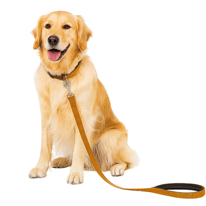 Trixie Premium Curry Dog Lead L-Xl