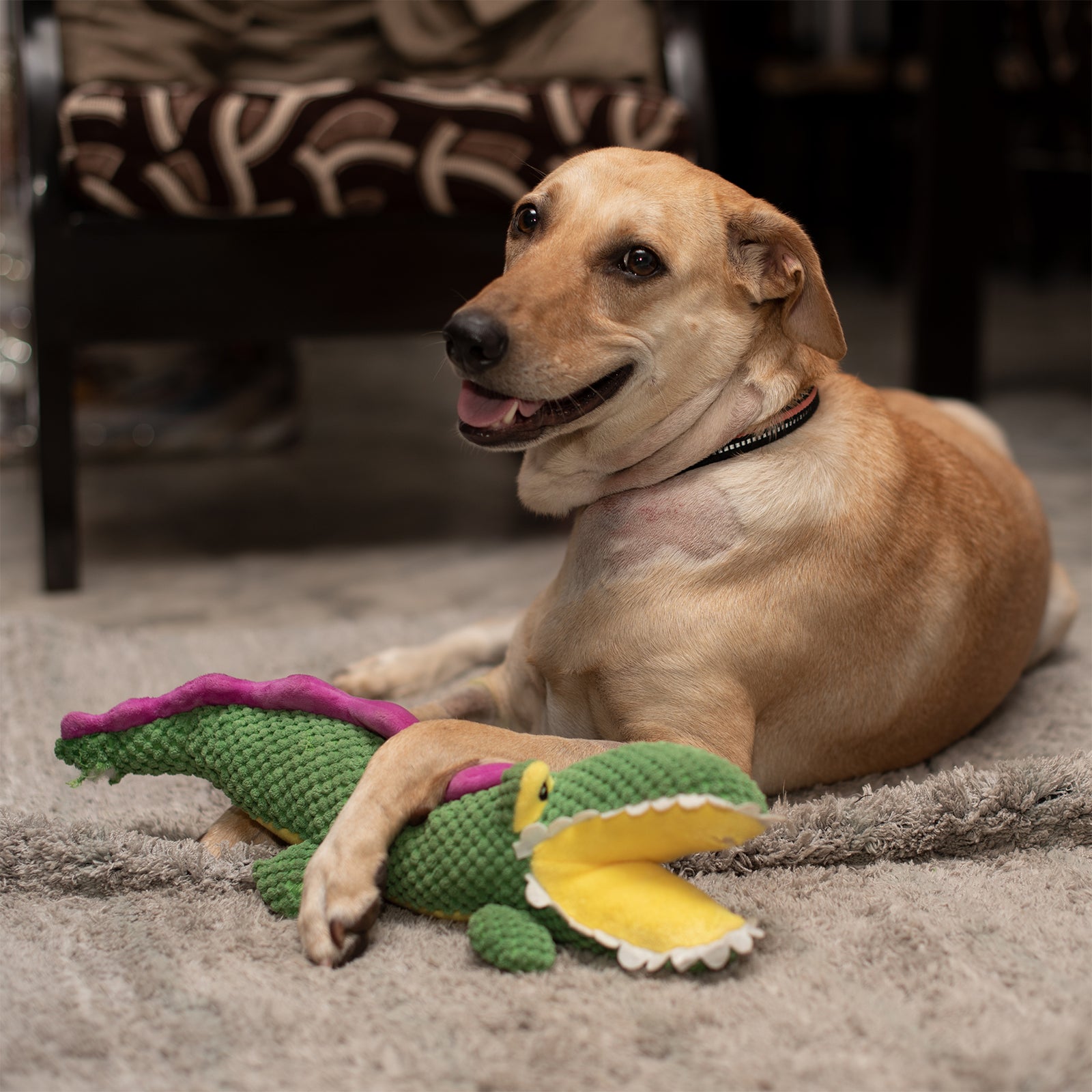 Barkbutler Aly The Gator For Dogs - Rufftail