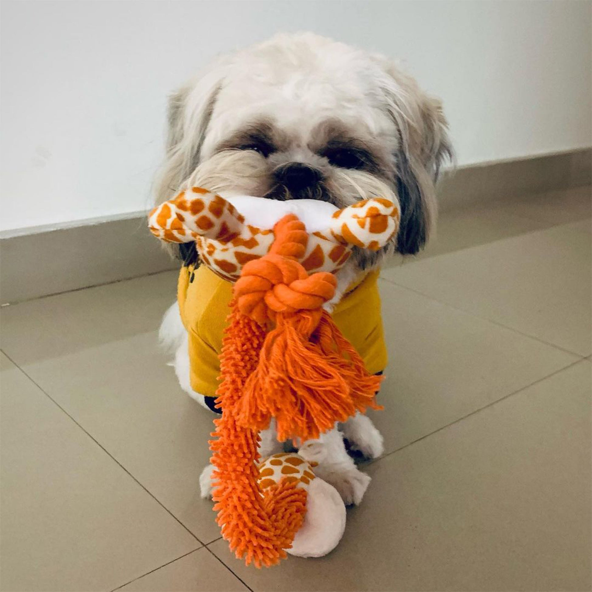 Barkbutler Garry The Giraffe For Dogs - Rufftail