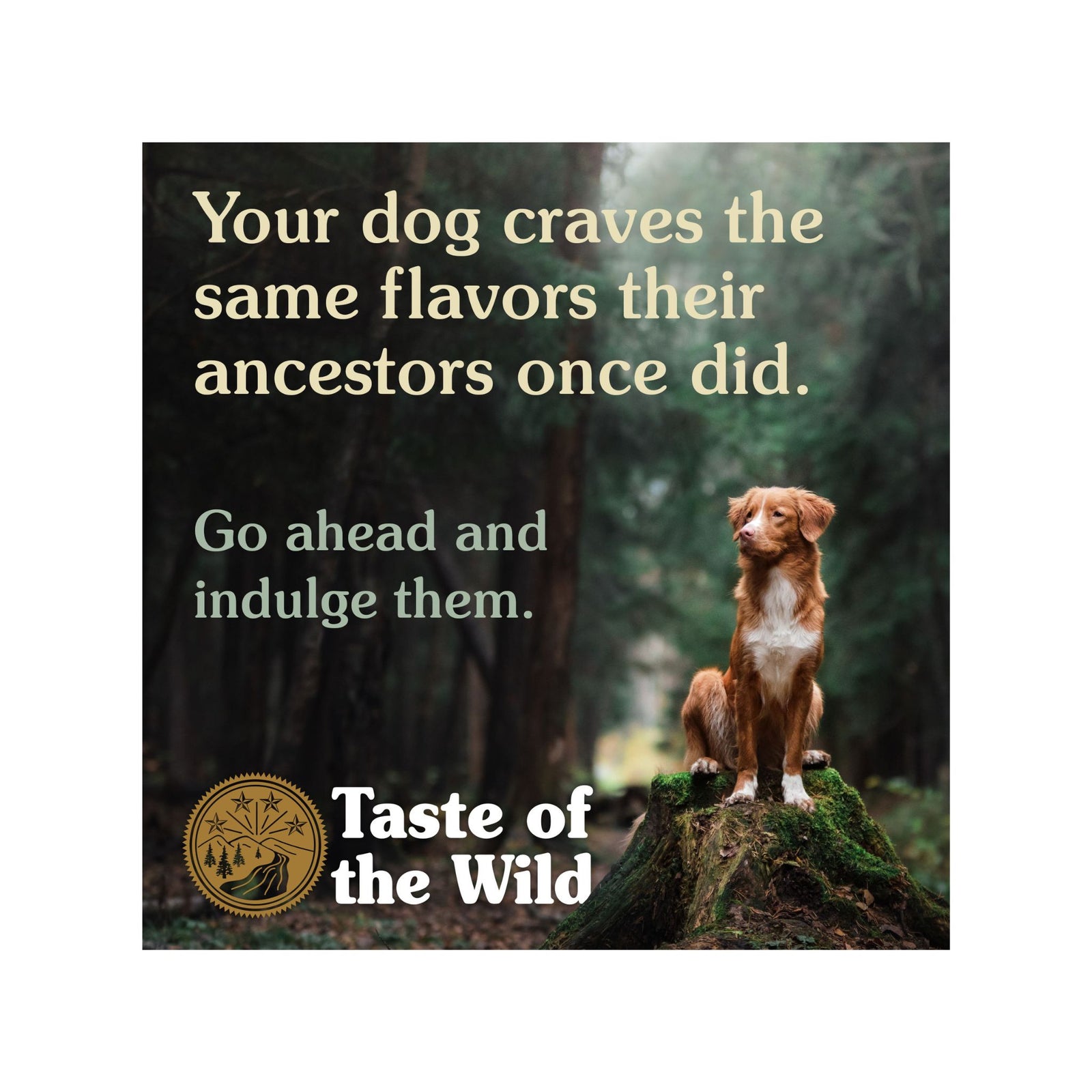 Taste of the Wild Sierra Mountain Dog Food - Roasted Lamb - Rufftail