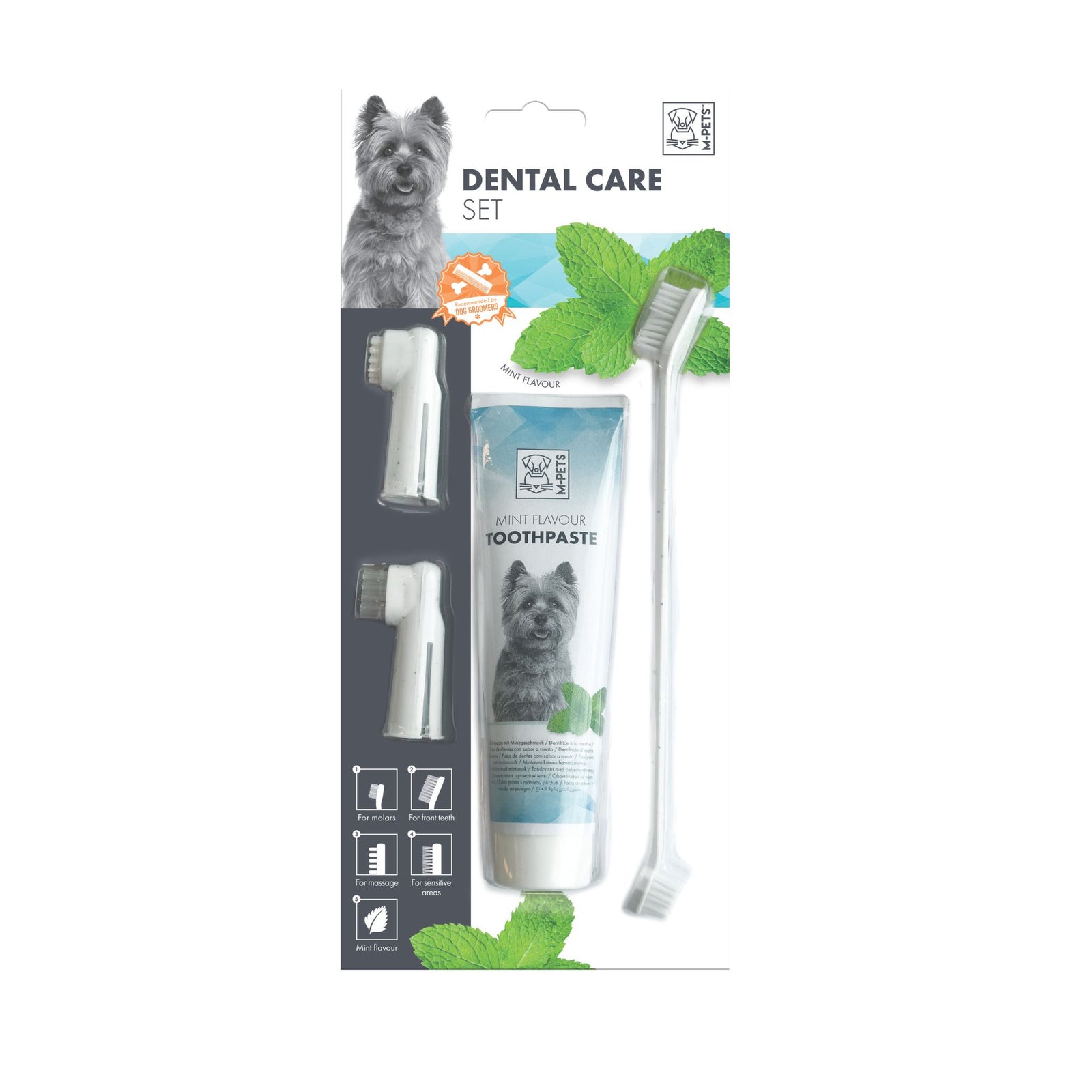 M-PETS Dental Care Set- Mint Flavour - Rufftail Pune