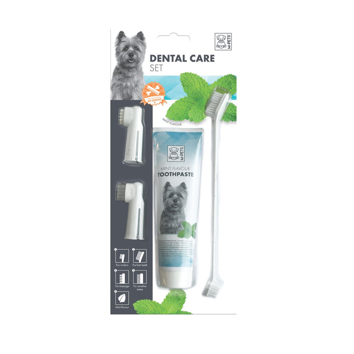 M-PETS Dental Care Set- Mint Flavour - Rufftail Pune