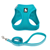 TRUELOVE Mesh Harness & Leash Set For Cats & Dogs- Blue - Rufftail Pune