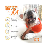 Nylabone Power Chew Bone Toy - Rufftail