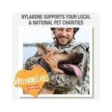 Nylabone Power Chew Bone Toy - Rufftail