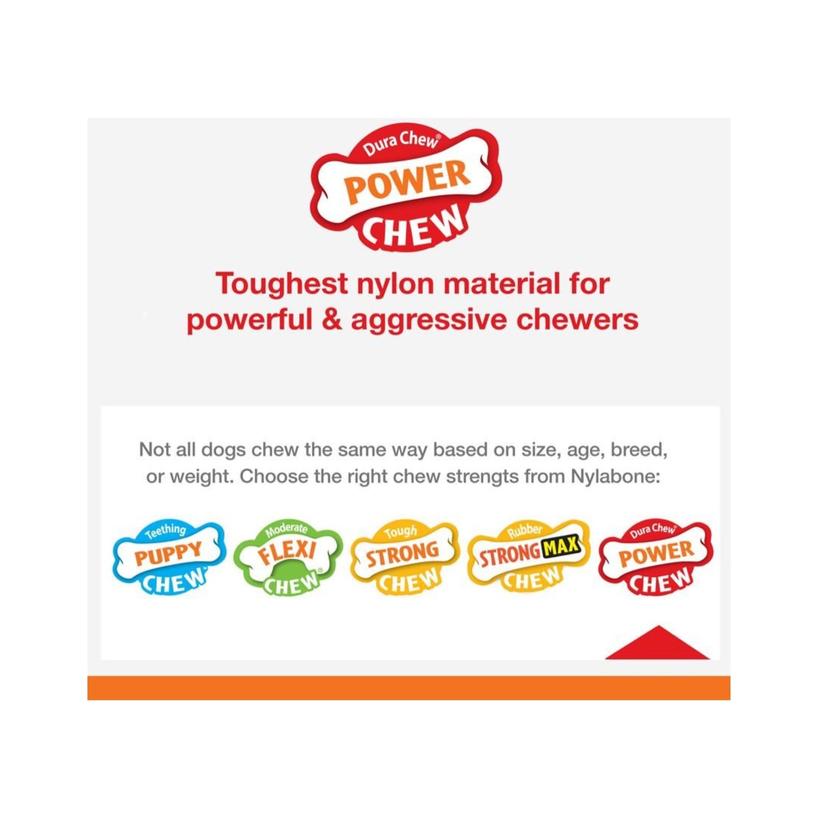 Nylabone Power Chew Bone Toy - Rufftail