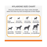 Nylabone Power Chew Bone Toy - Rufftail