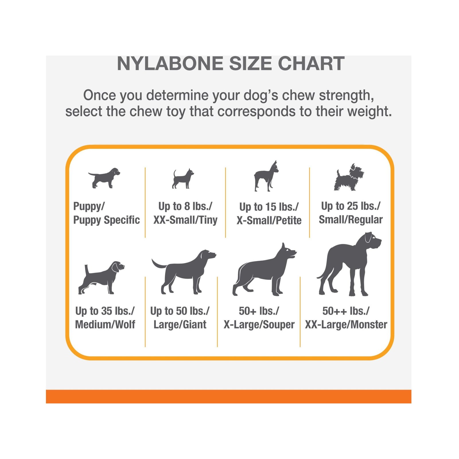 Nylabone Power Chew Bone Toy - Rufftail