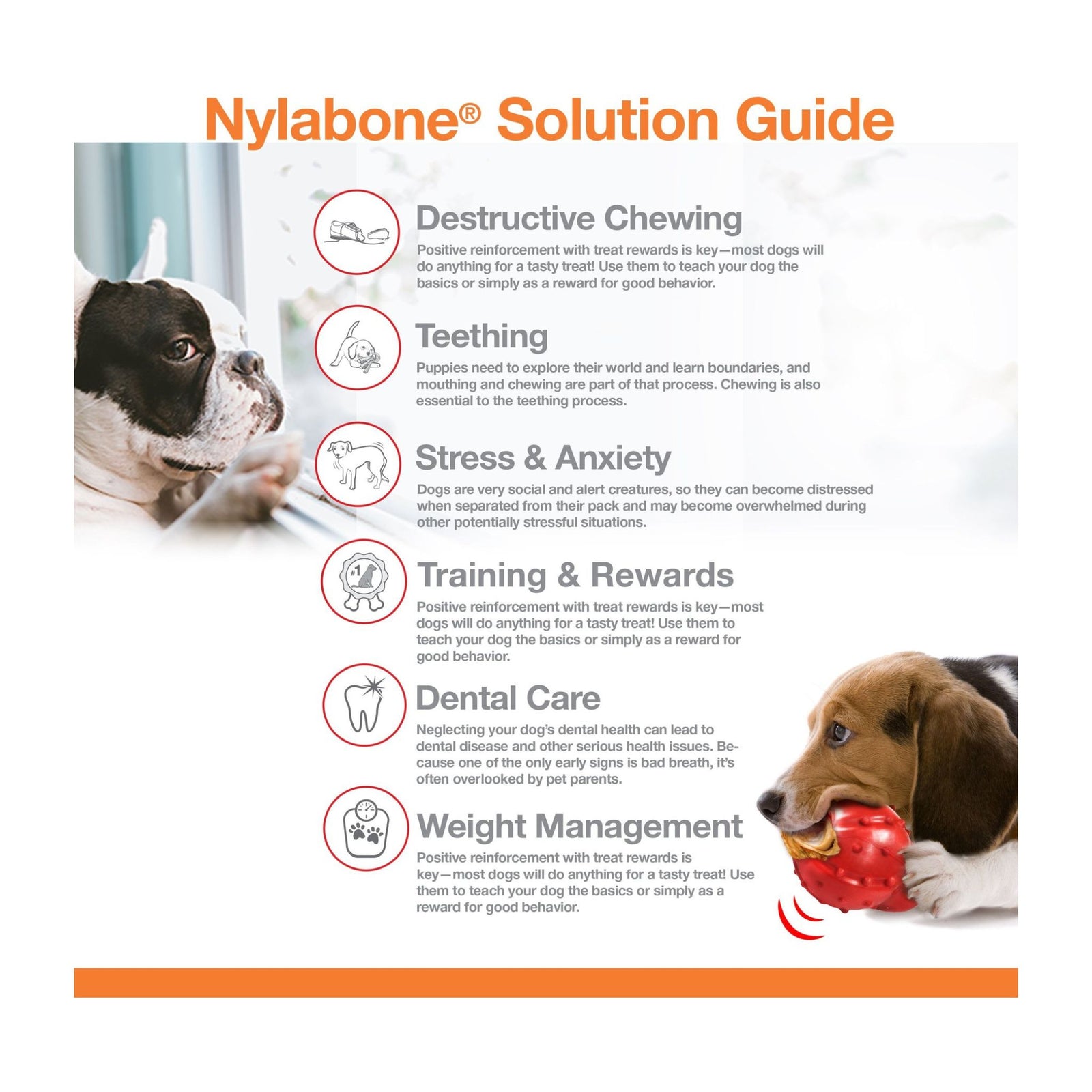 Nylabone Power Chew Bone Toy - Rufftail