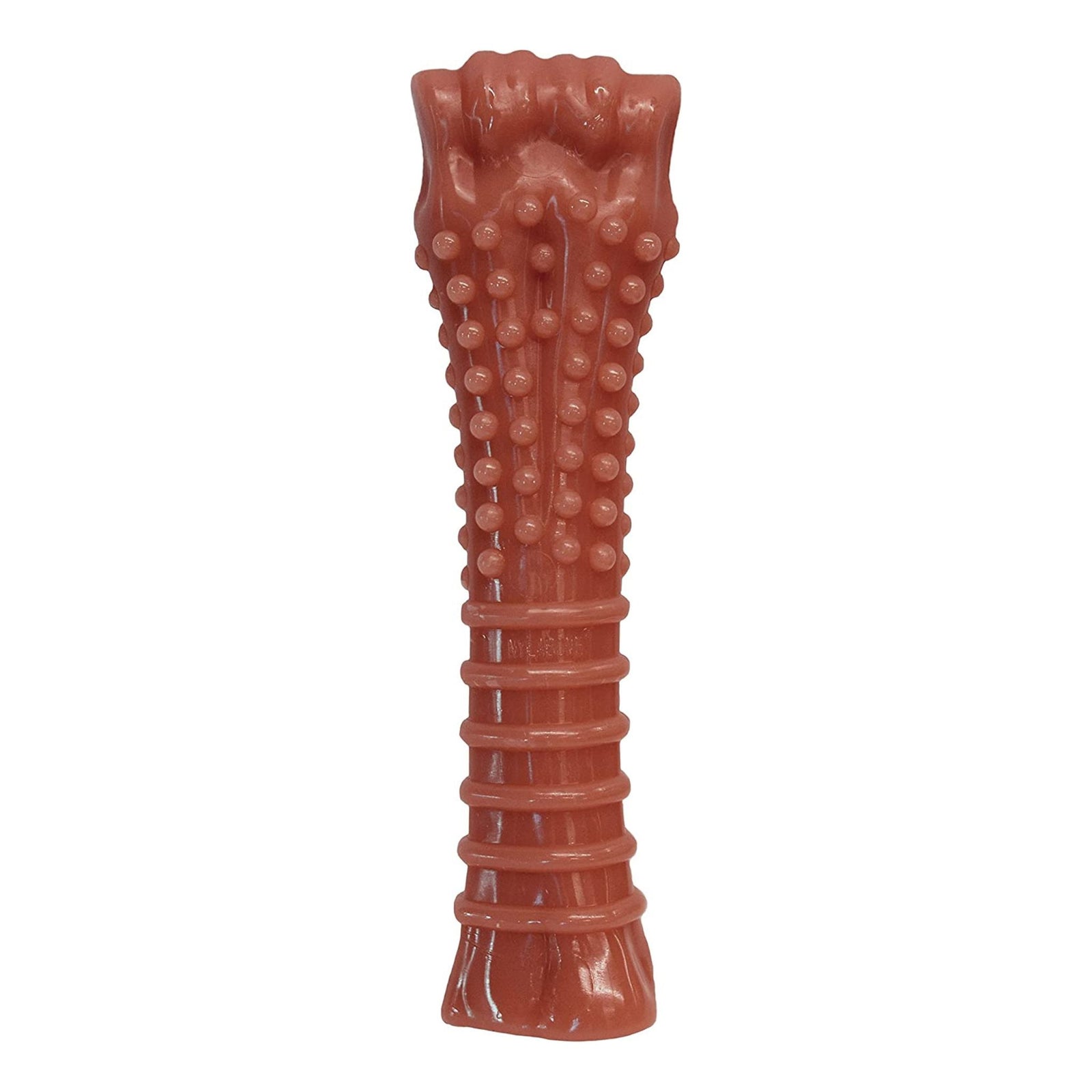 Nylabone Power Chew Textured Bone Toy - Rufftail