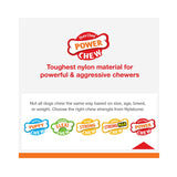 Nylabone Power Chew Textured Bone Toy - Rufftail