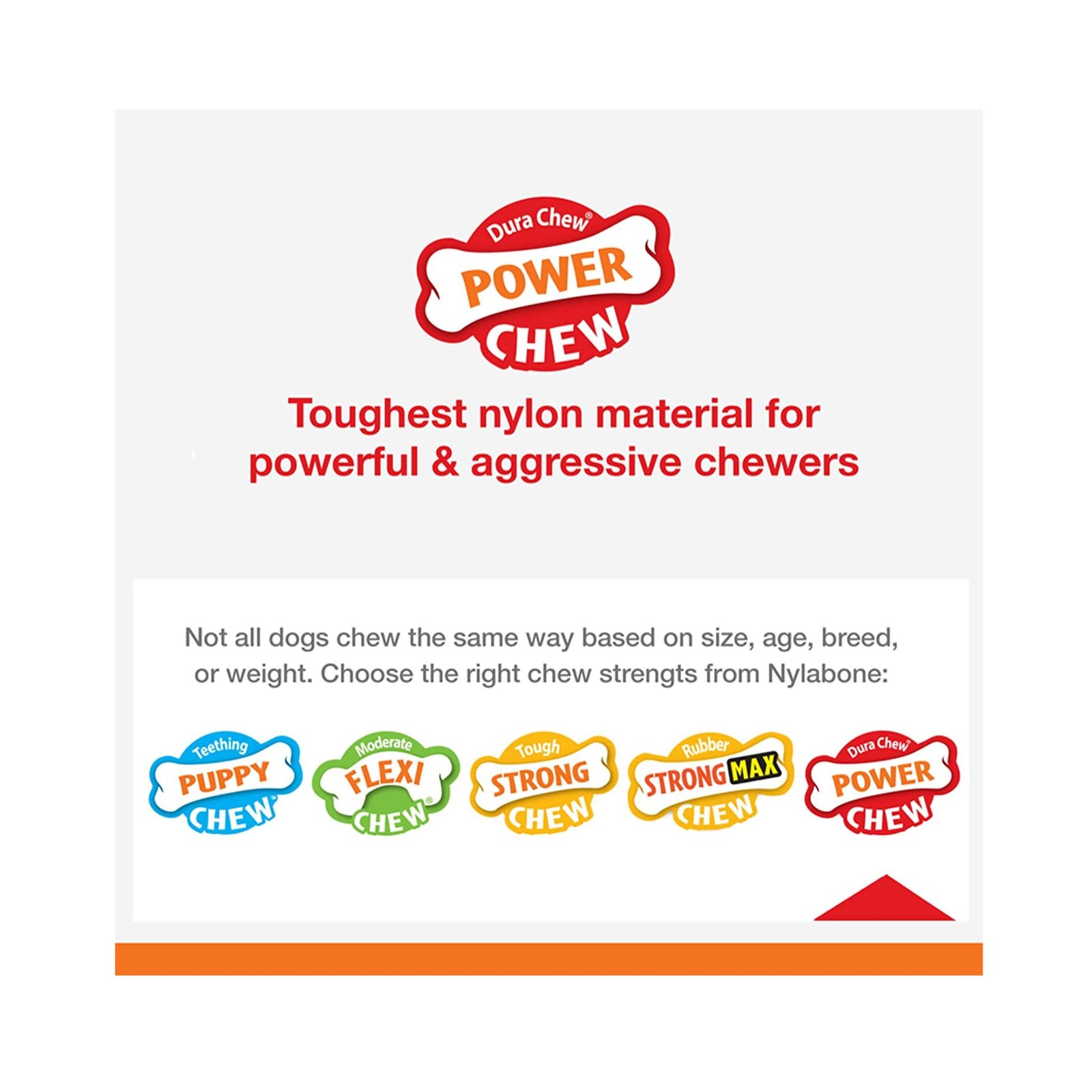 Nylabone Power Chew Textured Bone Toy - Rufftail