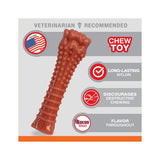 Nylabone Power Chew Textured Bone Toy - Rufftail