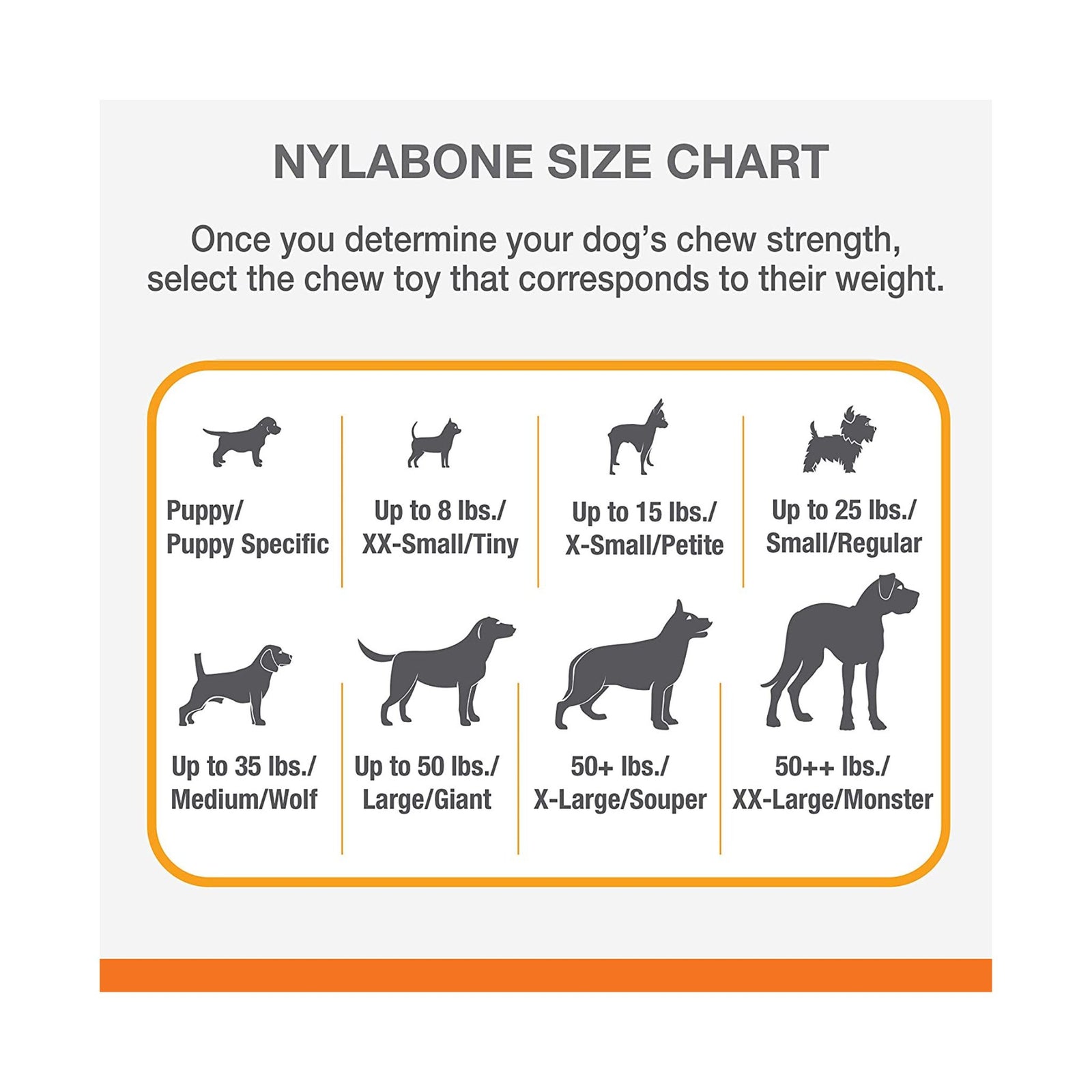 Nylabone Power Chew Textured Bone Toy - Rufftail