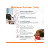 Nylabone Power Chew Bully Braid Stick Alternative Toy - Rufftail