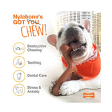 Nylabone Power Chew Bully Braid Stick Alternative Toy - Rufftail