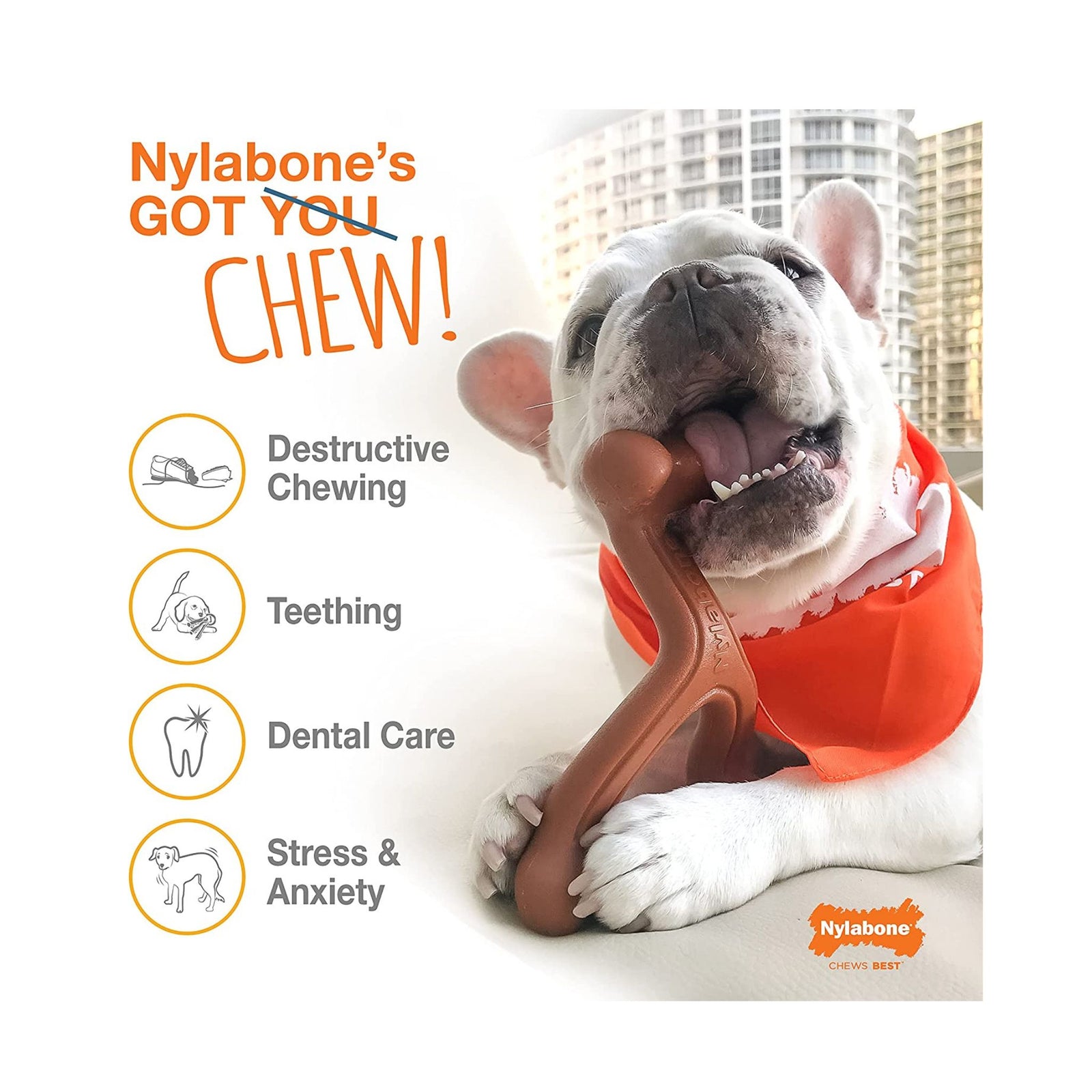Nylabone Power Chew Bully Braid Stick Alternative Toy - Rufftail